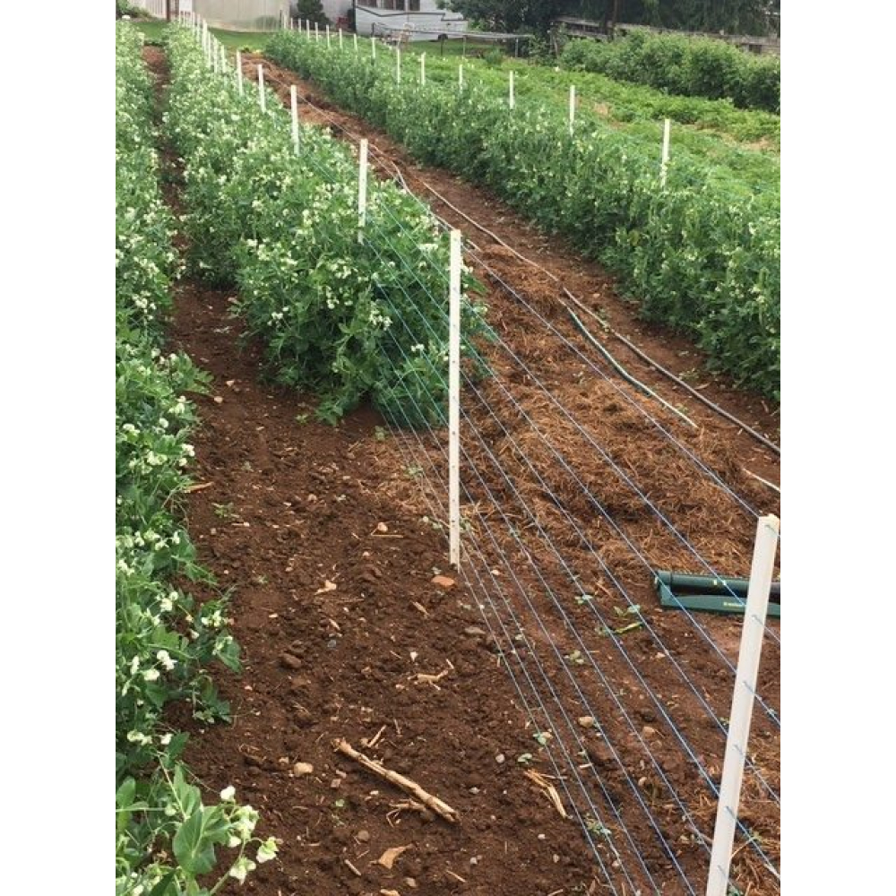 Timeless Fence Rigid PVC Pea Posts Pack of 25